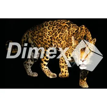 Obraz DIMEX | Obraz na skle | Panter GL-45-013 | 45 x 30 cm + Skleněný fotoobraz na stěnu české výroby DIMEX - GL-45-013 Panter, v rozměru 45 x 30 cm