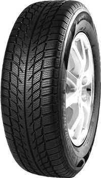 Zimní osobní pneu Goodride SW608 205/55 R16 91 H