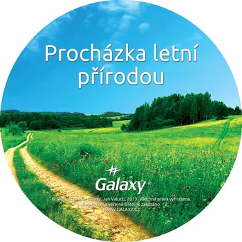 Zdraví Galaxy Procházka letní přírodou