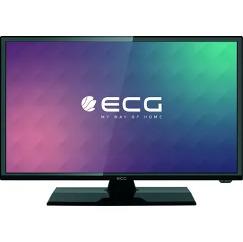 Televizor ECG 24" LED (HS01T2S2)