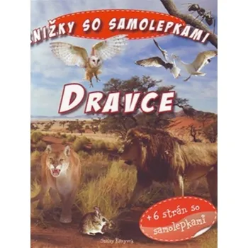 omalovánky Knihy so samolepkami Dravce