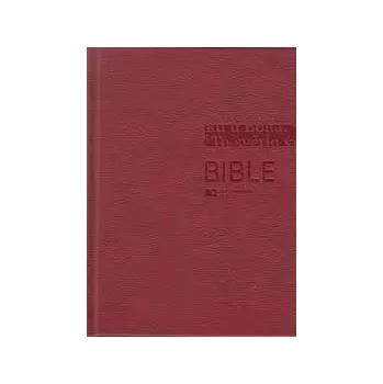 BIBLE ČEP S DT - VELKÝ FORMÁT, VÍNOVÁ