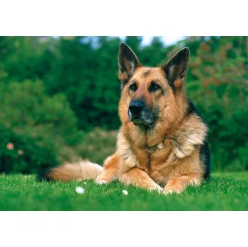 Puzzle Trefl Zdeko Německý ovčák 1000 dílků