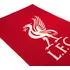 Koberec Liverpool FC kobereček 80 x 50 cm