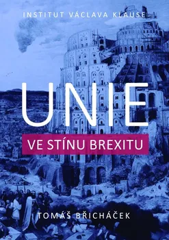 Unie ve stínu brexitu - Tomáš Břicháček (2020, brožovaná)