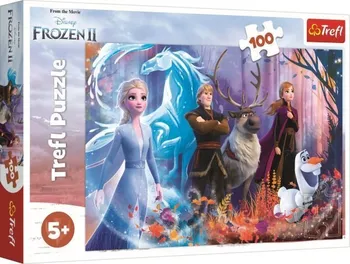 Puzzle Trefl Puzzle Ledové království 2 Mrazivá magie 100 dílků