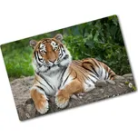 Kuchyňská deska skleněná Sibiřský tygr