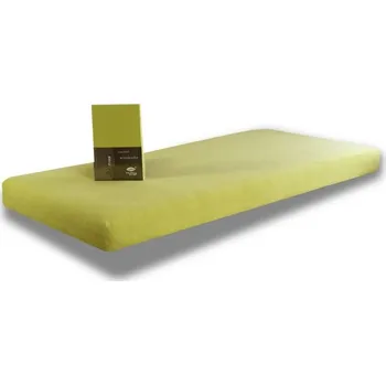 Prostěradlo Prostěradlo Froté 180x200 pistáciová napínací LeRoy