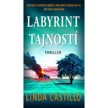 Labyrint tajností - Linda Castillo (2021, pevná)