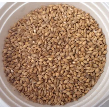 výroba alkoholu Slad Carabelge®