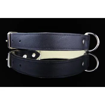 Obojek pro psa ZOOLeszcz Kožený obojek pro psy - BASIC Barva: Černá, Velikost: L