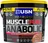 USN Muscle Fuel Anabolic 4000 g, vanilka