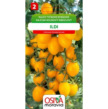 Semeno Osiva Moravia Rajče tyčkové rybízové Ildi 0,2 g