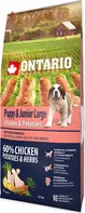 Ontario Puppy & Junior Large Chicken/Potatoes