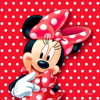 Polštář Dekorační polštář MINNIE MOUSE DISNEY 40x40cm CND 3126