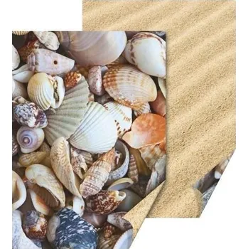 Fotokarton 50x70 cm, 300g/m2 - Mušle/písek