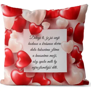 Dekorativní polštářek Polštář Děkuji Tchyni (Velikost: 40 x 40 cm)