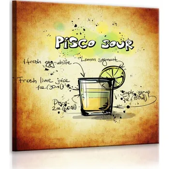 Malvis ® Obraz cedule Pisco Sour Velikost (šířka x výška): 40x40 cm