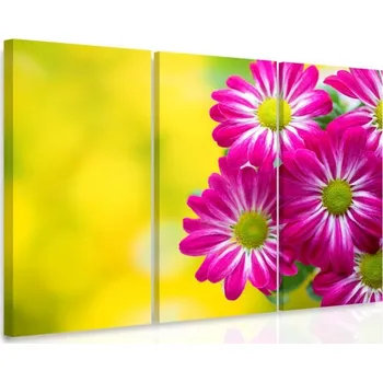 Malvis ® Vícedílný obraz - Chryzantémy Velikost: 90x60 cm