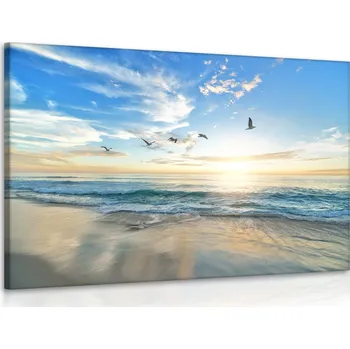 Obraz Malvis ® Obraz moře s racky Velikost (šířka x výška): 90x60 cm