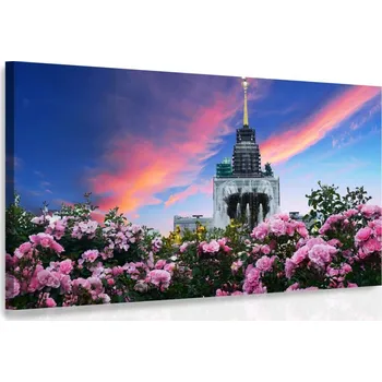 Malvis ® Obraz Město růží Velikost: 90x60 cm