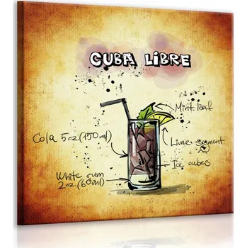 Obraz Malvis ® Obraz cedule Cuba Libre Velikost (šířka x výška): 30x30 cm