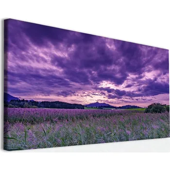 Obraz Malvis ® Obraz na plátně Levandulové království Velikost (šířka x výška): 90x60 cm