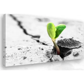 Obraz Malvis ® Obraz na plátně Síla přírody Velikost (šířka x výška): 60x40 cm