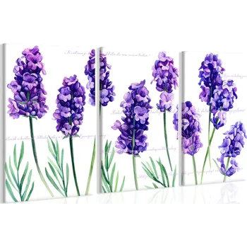 Malvis ® Obraz zvoneček Velikost: 90x60 cm