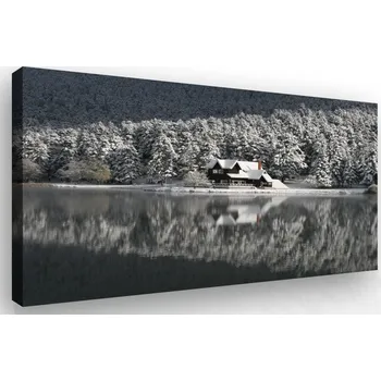 Obraz Malvis ® Obraz na stěnu Dům v zimě Velikost: 60x40 cm