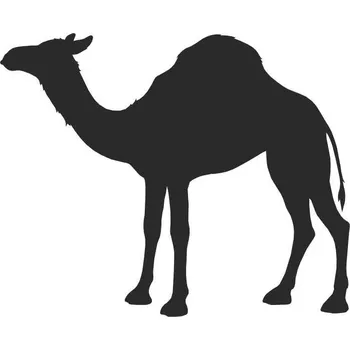 Samolepicí dekorace na vozidlo SI0115021D - Velbloud - dromedár - 120 x 115 mm doleva