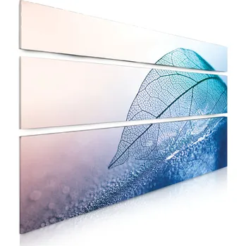 Obraz Malvis ® Vícedílný obraz List v rose Velikost (šířka x výška): 130x80 cm