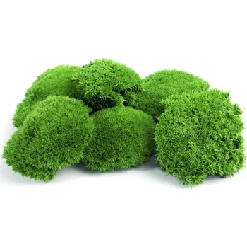 Dekorační stabilizovaný mech kopečkový Mini 0,4 kg, zelený (bochánky)