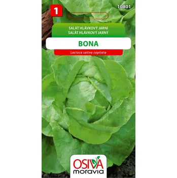 Semeno Salát hlávkový - Bona