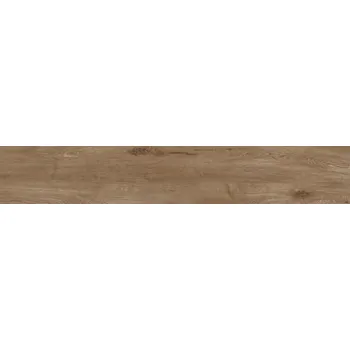 Dlažba Dlažba Fineza Alpina brown 20x120 cm mat ALPINA2012BR