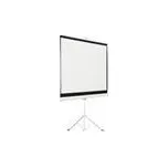 Elektrické projekční plátno AVELI, 221x125 (16:9) 100"