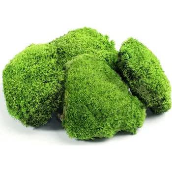 Dekorační stabilizovaný mech kopečkový 0,35 kg, sv. zelený (bochánky)