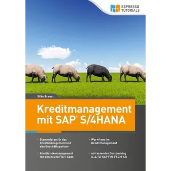 Kreditmanagement mit SAP S/4HANA - Silke, Breest
