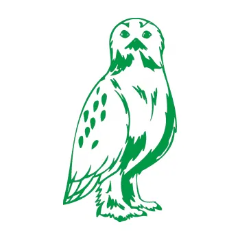 Samolepicí dekorace na vozidlo Predators 061 pravá sova (12 - zelená) SAMOLEPKA NA AUTO, NÁLEPKA, FÓLIE, POLEP, TUNING, VLASTNÍ TEXT, TISK, AUTOSAMOLEPKY.cz, POLEPY, OBRÁZEK, LOGO, 3D STICKERS