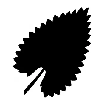 Samolepící dekorace SAMOLEPKA List 001 pravá (01 - černá) NA AUTO, NÁLEPKA, FÓLIE, POLEP, TUNING, VLASTNÍ TEXT, TISK, AUTOSAMOLEPKY.cz, POLEPY, OBRÁZEK, LOGO, SAMOLEPKY