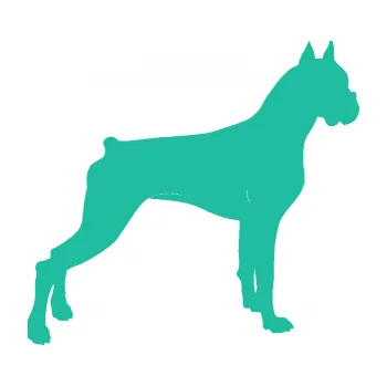 Polep vozidla SAMOLEPKA Pes 087 pravá Boxer (25 - tyrkysová) NA AUTO, NÁLEPKA, FÓLIE, POLEP, TUNING, VLASTNÍ TEXT, TISK, AUTOSAMOLEPKY.cz, POLEPY, OBRÁZEK, LOGO, SAMOLEPKY