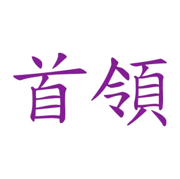 Polep vozidla SAMOLEPKA Čínský znak Cheif (14 - fialová) NA AUTO, NÁLEPKA, FÓLIE, POLEP, TUNING, VLASTNÍ TEXT, TISK, AUTOSAMOLEPKY.cz, POLEPY, OBRÁZEK, LOGO, SAMOLEPKY