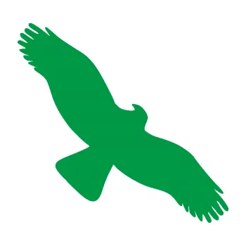 Samolepící dekorace Dravec na sklo 001 pravá (12 - zelená) SAMOLEPKA NA AUTO, NÁLEPKA, FÓLIE, POLEP, TUNING, VLASTNÍ TEXT, TISK, AUTOSAMOLEPKY.cz, POLEPY, OBRÁZEK, LOGO, 3D STICKERS