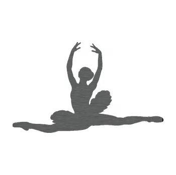 Samolepicí dekorace na vozidlo Baletka 004 levá (62 - škrábaný titan) SAMOLEPKA NA AUTO, NÁLEPKA, FÓLIE, POLEP, TUNING, VLASTNÍ TEXT, TISK, AUTOSAMOLEPKY.cz, POLEPY, OBRÁZEK, LOGO, 3D STICKERS