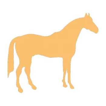 Samolepící dekorace SAMOLEPKA Kůň 004 pravá (08 - béžová) NA AUTO, NÁLEPKA, FÓLIE, POLEP, TUNING, VLASTNÍ TEXT, TISK, AUTOSAMOLEPKY.cz, POLEPY, OBRÁZEK, LOGO, SAMOLEPKY