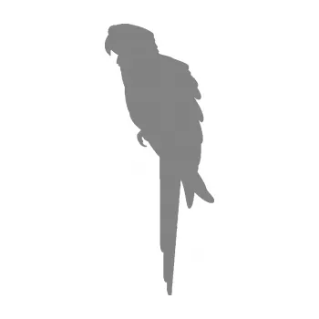 Samolepící dekorace SAMOLEPKA Papoušek 001 levá (17 - šedá) NA AUTO, NÁLEPKA, FÓLIE, POLEP, TUNING, VLASTNÍ TEXT, TISK, AUTOSAMOLEPKY.cz, POLEPY, OBRÁZEK, LOGO, SAMOLEPKY