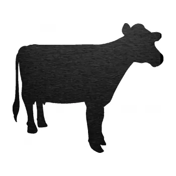 Samolepící dekorace SAMOLEPKA Kráva 001 pravá (63 - škrábaný kov černý) NA AUTO, NÁLEPKA, FÓLIE, POLEP, TUNING, VLASTNÍ TEXT, TISK, AUTOSAMOLEPKY.cz, POLEPY, OBRÁZEK, LOGO, SAMOLEPKY