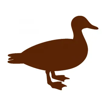 Samolepicí dekorace na vozidlo Kachna 002 pravá (15 - hnědá) SAMOLEPKA NA AUTO, NÁLEPKA, FÓLIE, POLEP, TUNING, VLASTNÍ TEXT, TISK, AUTOSAMOLEPKY.cz, POLEPY, OBRÁZEK, LOGO, 3D STICKERS