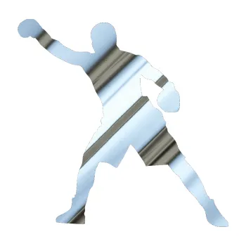 Samolepicí dekorace na vozidlo Boxer 002 levá (80 - chrom fólie stříbrná zrcadlová) SAMOLEPKA NA AUTO, NÁLEPKA, FÓLIE, POLEP, TUNING, VLASTNÍ TEXT, TISK, AUTOSAMOLEPKY.cz, POLEPY, OBRÁZEK, LOGO, 3D STICKERS