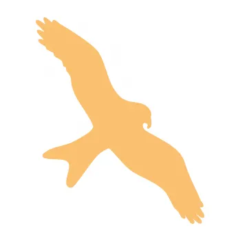 Samolepící dekorace Dravec na sklo 002 pravá (08 - béžová) SAMOLEPKA NA AUTO, NÁLEPKA, FÓLIE, POLEP, TUNING, VLASTNÍ TEXT, TISK, AUTOSAMOLEPKY.cz, POLEPY, OBRÁZEK, LOGO, 3D STICKERS